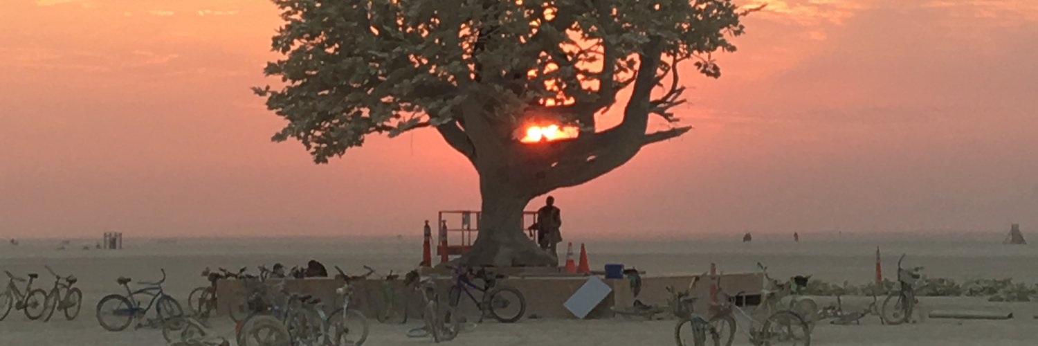 Benjamin Nicholson banner