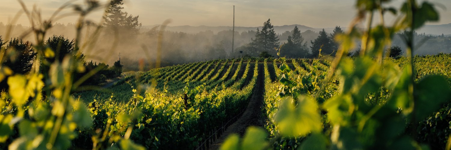 ErnestVineyards's profile banner image