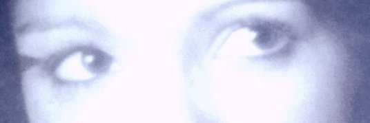 TheLondonBird's profile banner image
