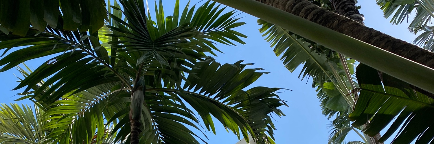 hannfalter's profile banner image