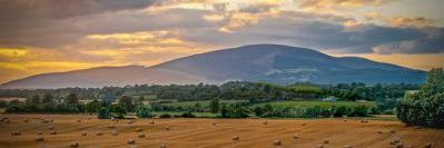 Shane Donnelly banner
