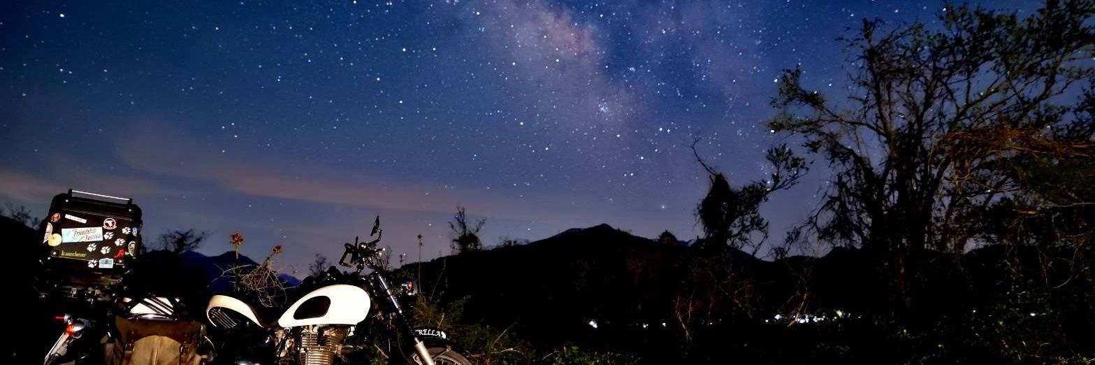 bell_fox99's profile banner image