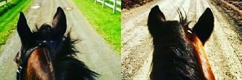 Amoo_Brandan's profile banner image