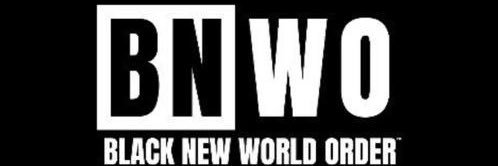 BNWO_king (@BNWO_king_1) / Posts / X