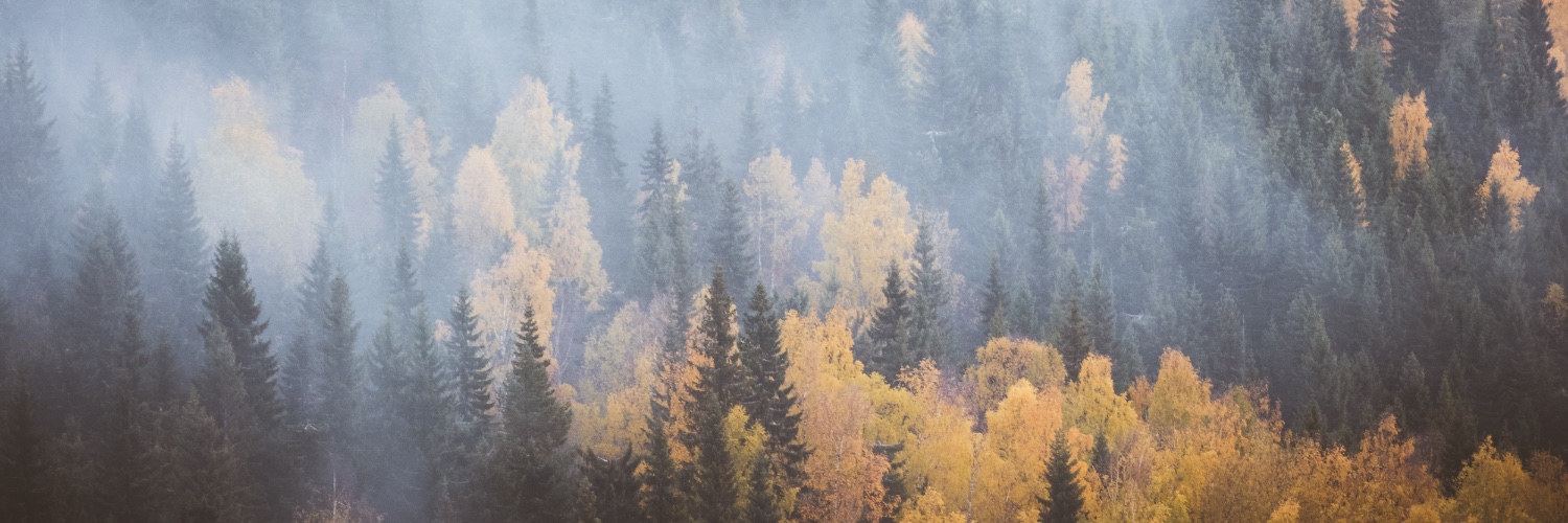 Ville Kankare banner