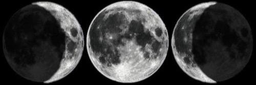 lforsterr's profile banner image