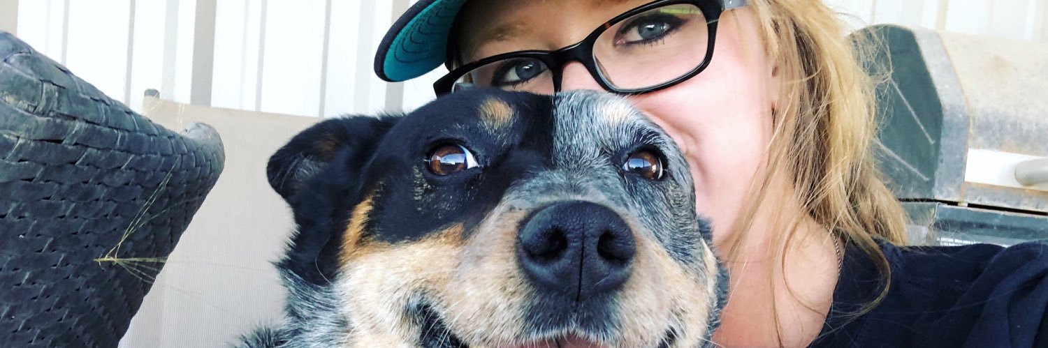 KatieAngelos's profile banner image