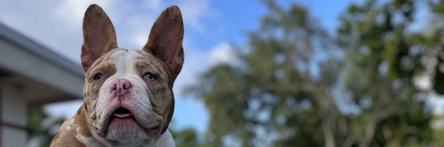 TmsBryan848's profile banner image