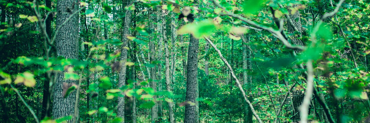 grant_benjamin_'s profile banner image