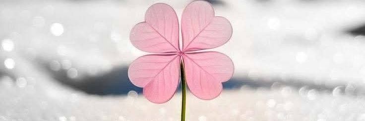 PW_Bhatara 💗💙💛 banner