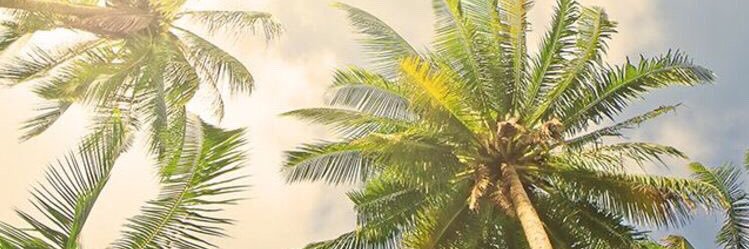 TylerPetrone's profile banner image