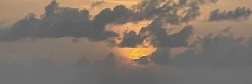 Eveelyn_L's profile banner image