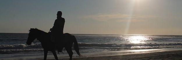Ever_du's profile banner image