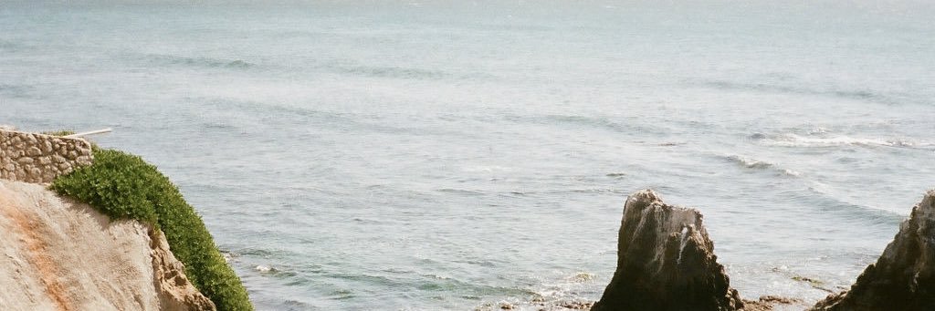 celebates's profile banner image