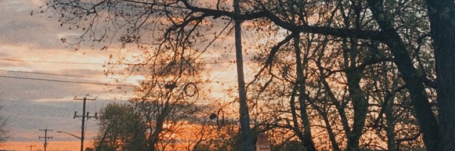 juliegarrity3's profile banner image