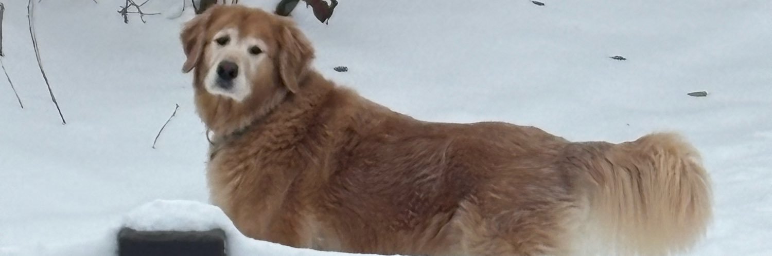 K_Bergs's profile banner image