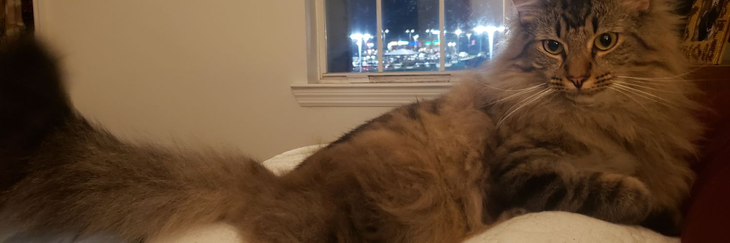 minkusgary's profile banner image
