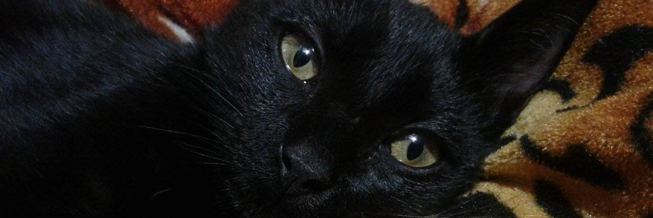 Marlene☥ banner