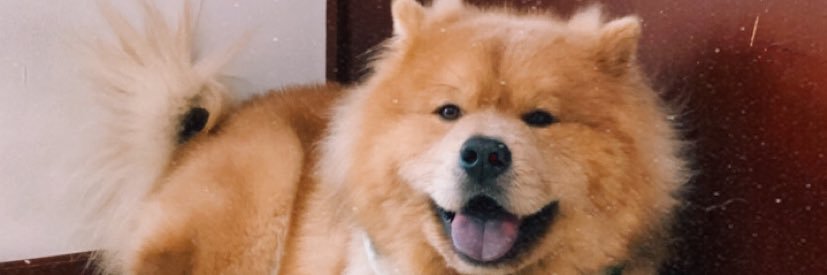 _StefanyLasso's profile banner image
