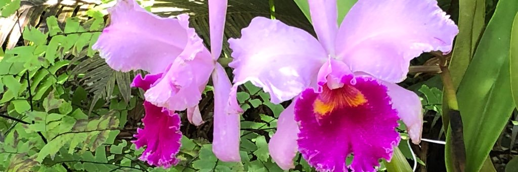 jcharb93's profile banner image