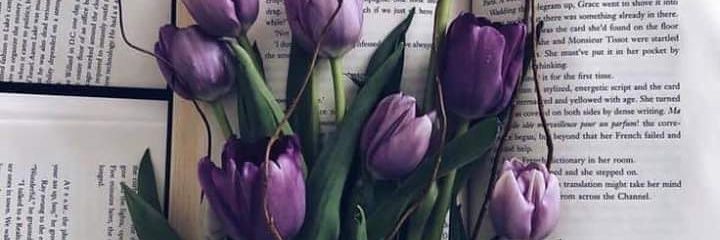 sel_hrt's profile banner image