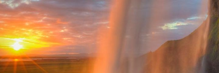 lealppnt's profile banner image