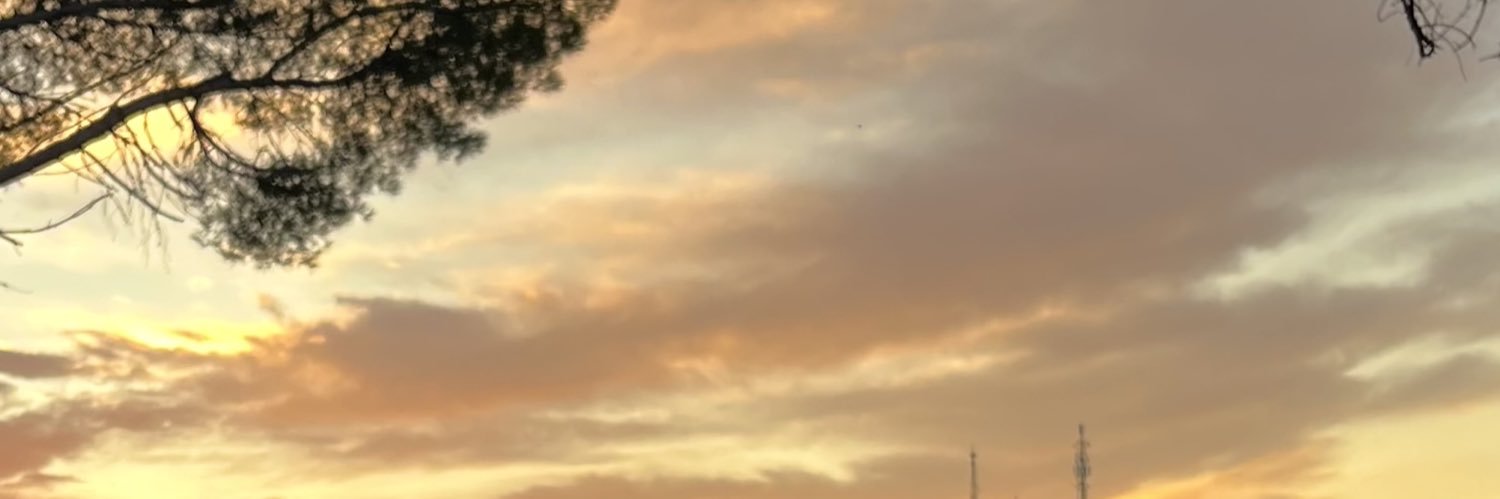 imadfni banner