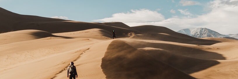 Danielle banner