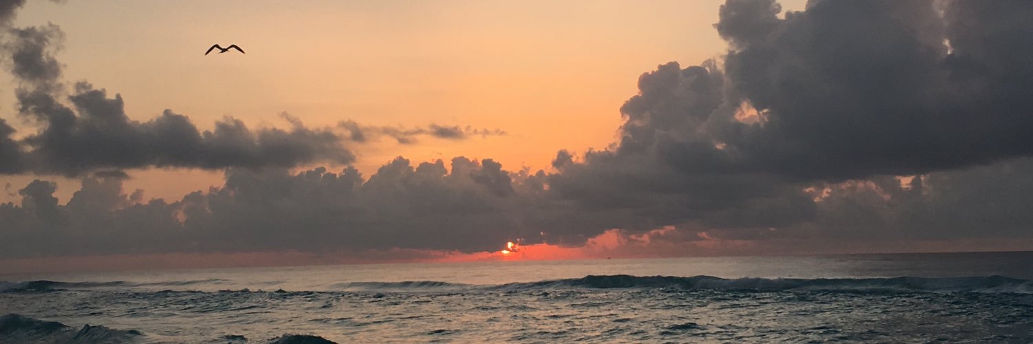 logaannn14's profile banner image