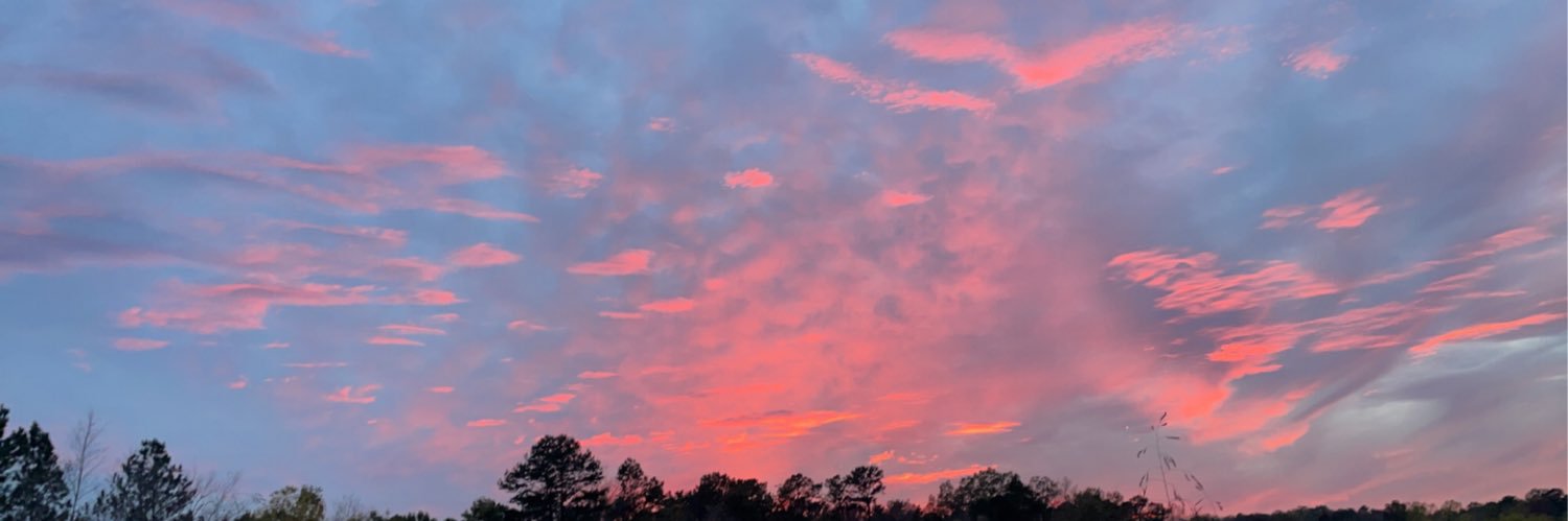Carson_Fowler13's profile banner image