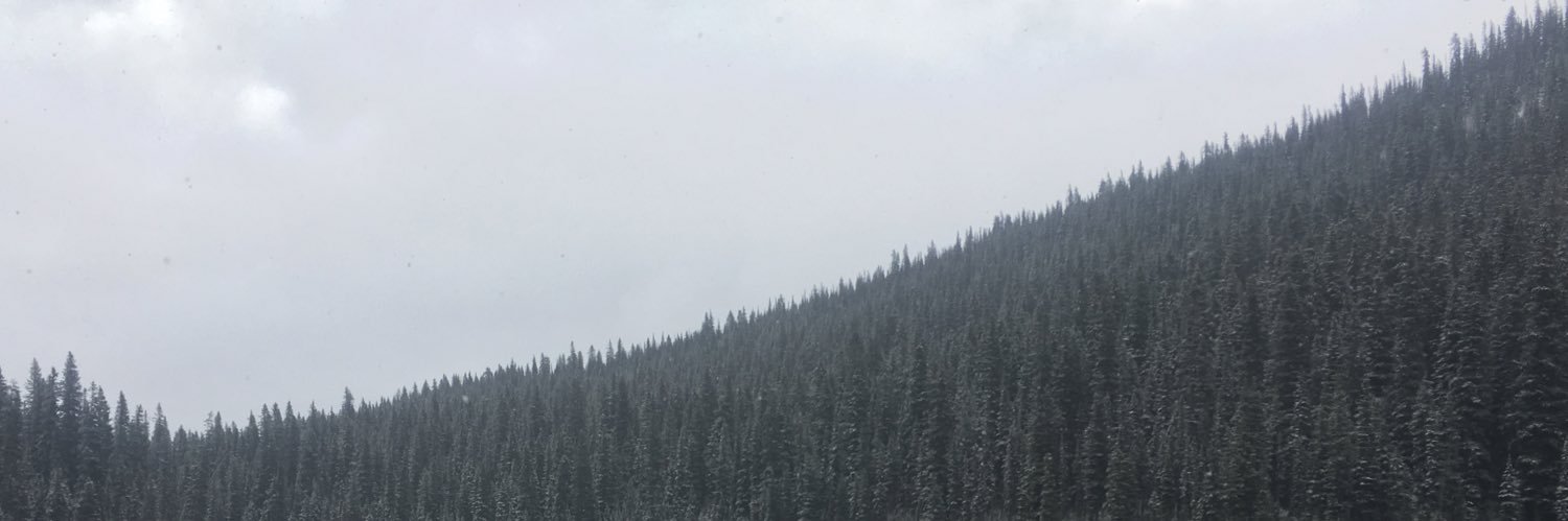 evan4211's profile banner image