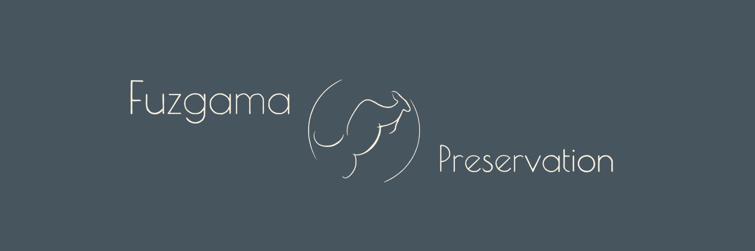 Fuzgama's profile banner image