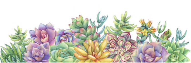 MaggieSimon13's profile banner image