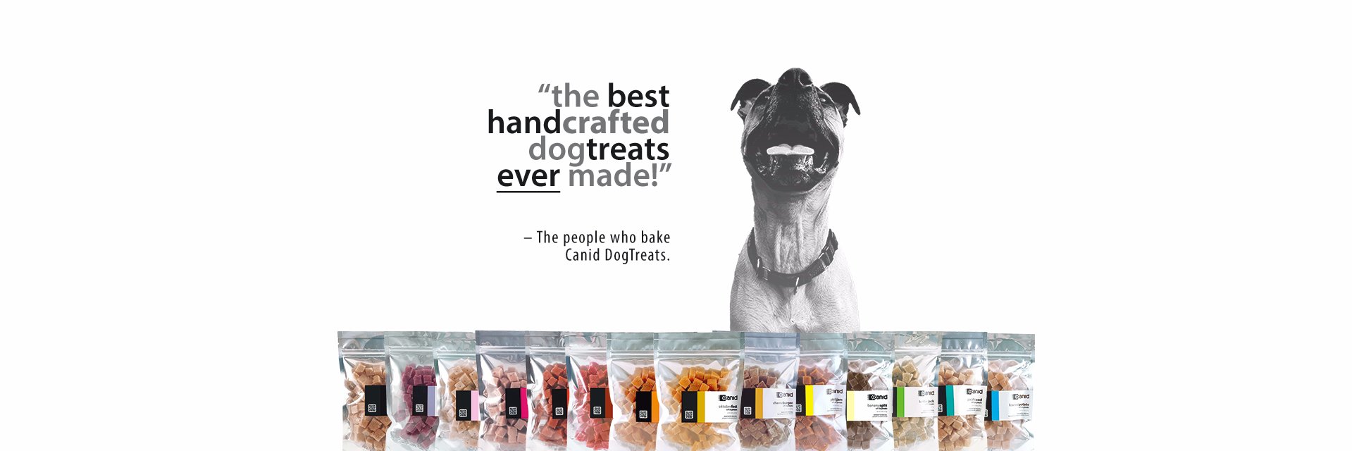 CanidTreats's profile banner image