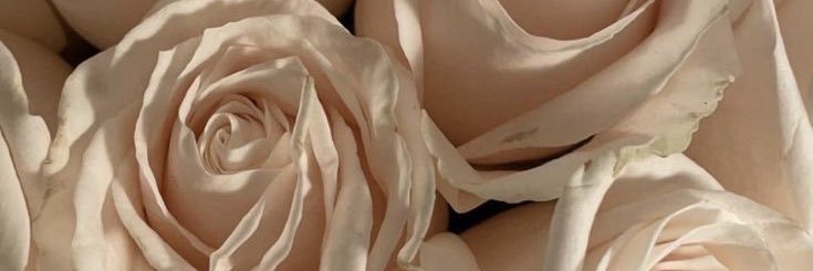 _ColorMeeDes's profile banner image