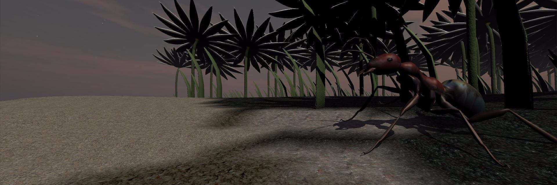 Grae Saunders banner