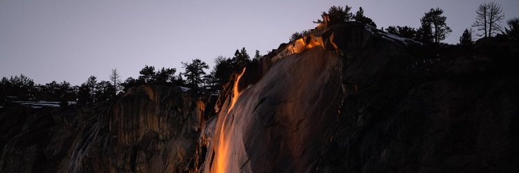 Maddy banner
