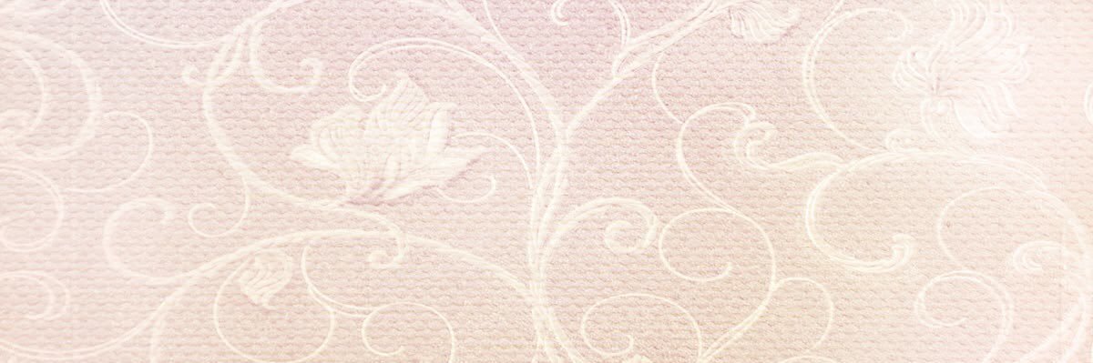 snork mimimi banner
