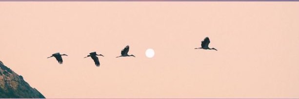 بيان banner