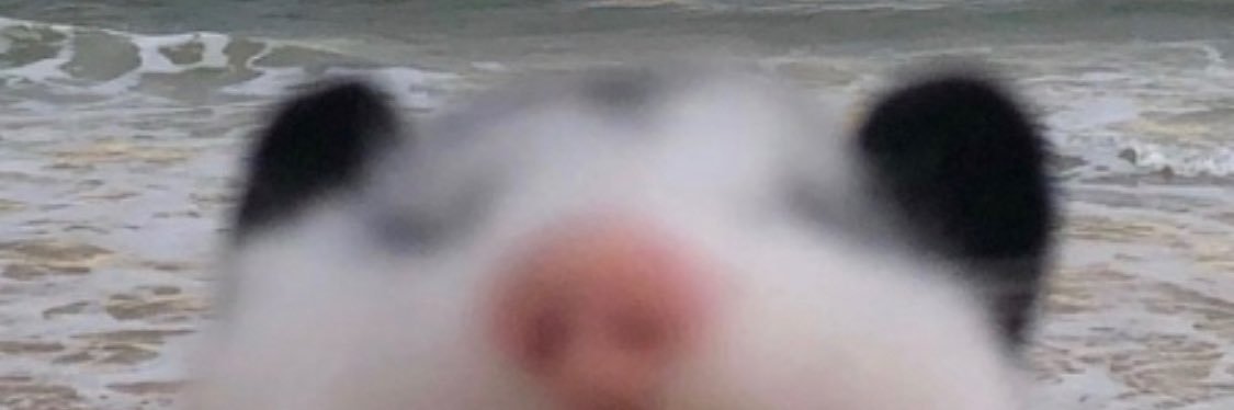 LauraGraham26's profile banner image