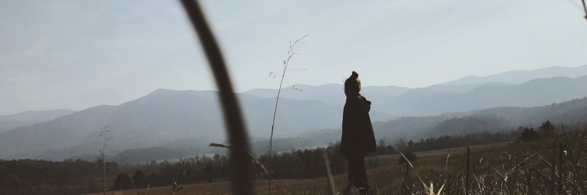 alikarnold's profile banner image