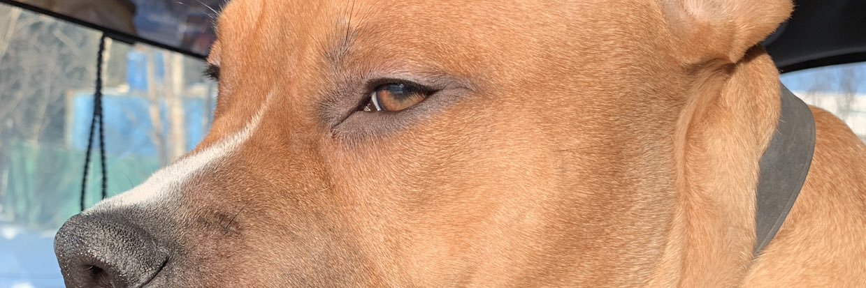 oktld_'s profile banner image