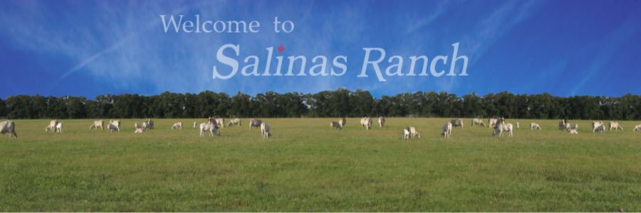 ryan_salinas's profile banner image