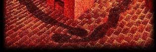 ALE_BALLINA's profile banner image