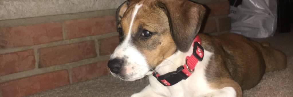 NickyScatty's profile banner image
