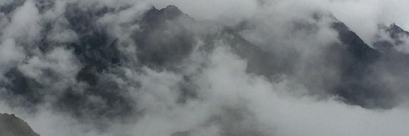 tomatoheads's profile banner image