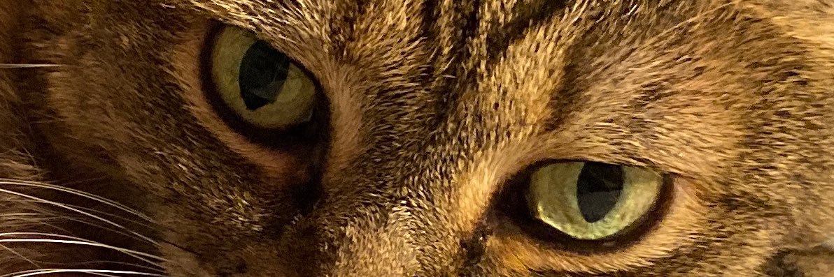 tabularassa761's profile banner image