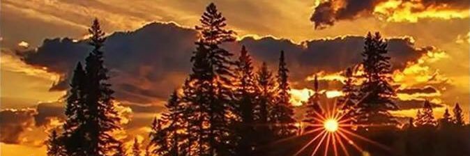 EmilyBlasko's profile banner image