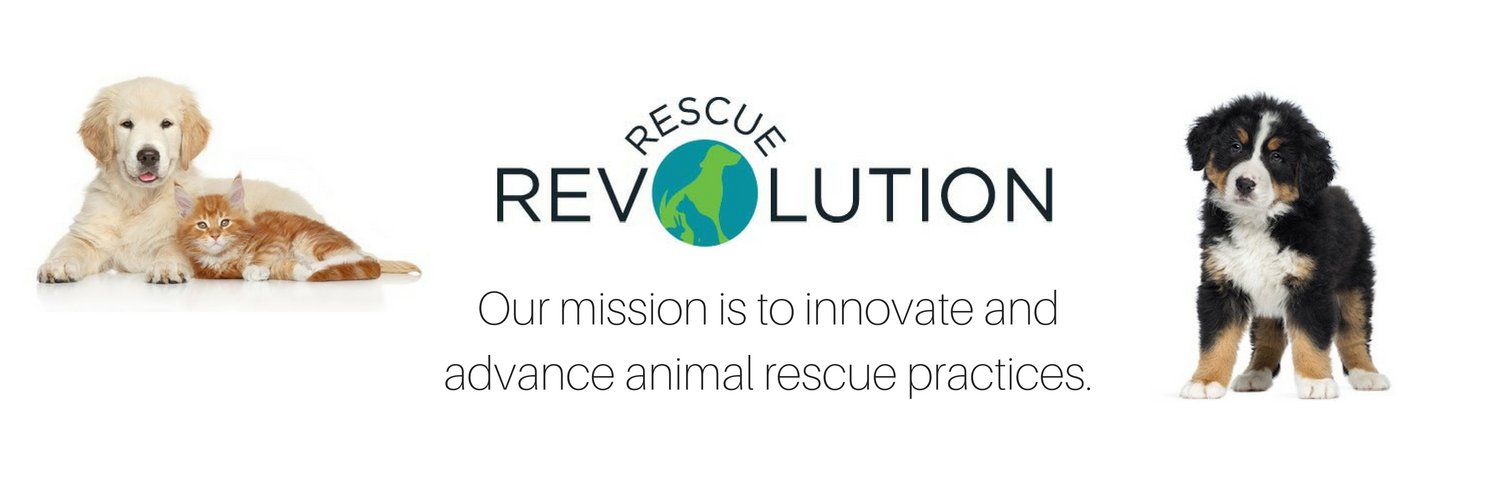 RescuRevolution's profile banner image