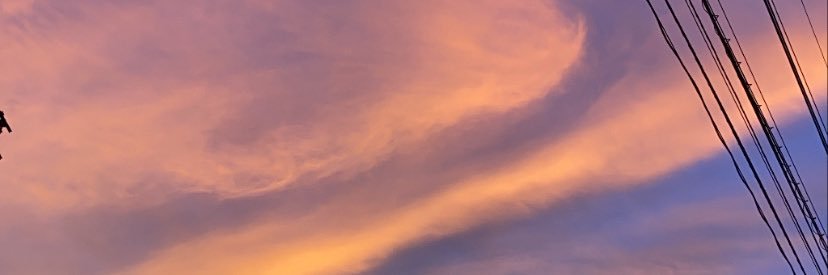 miki___0306's profile banner image